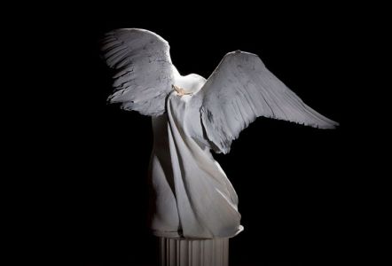 Angel, Verso